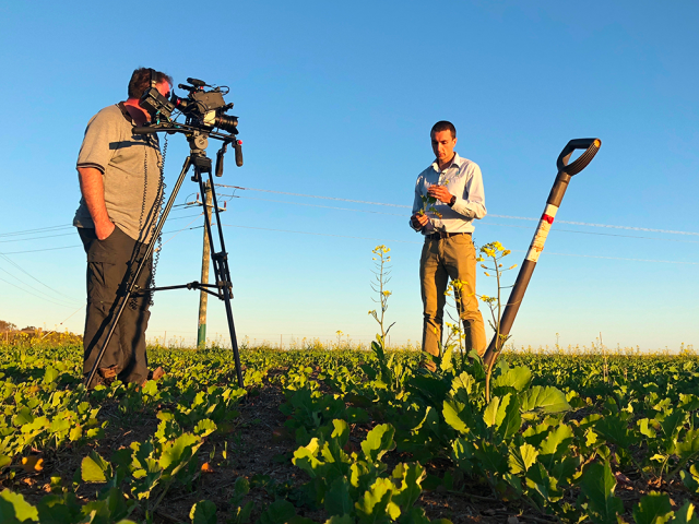 agronomist_professionals